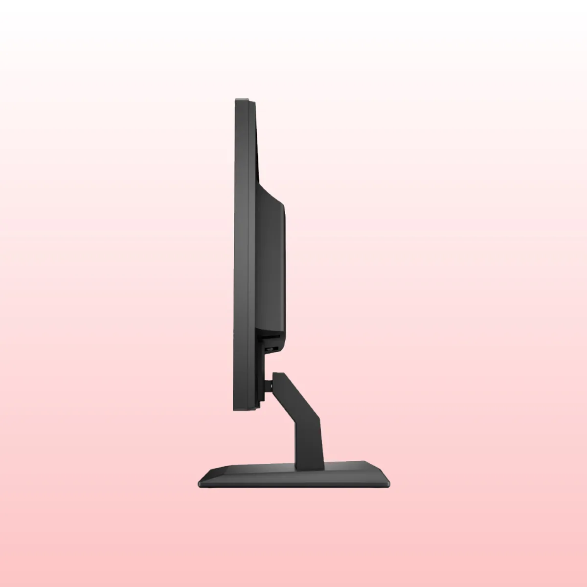 HP P204v Monitor - Best for Work From Home Setup